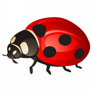'Lucky Red' Ladybug Sticker | Cute Good Luck Decal Gift