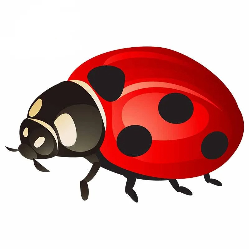 'Lucky Red' Ladybug Sticker | Cute Good Luck Decal Gift