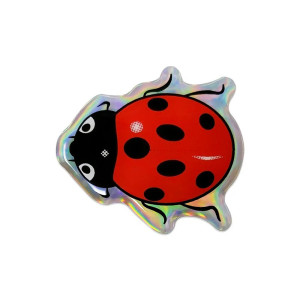 Cute 3D Resin Ladybug Sticker | Holographic & Unique Decal