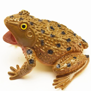 Croaking Frog Squeeze Toy | Cute & Funny Gift for Kids