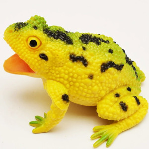 Croaking Frog Squeeze Toy | Cute & Funny Gift for Kids