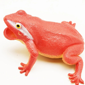 Croaking Frog Squeeze Toy | Cute & Funny Gift for Kids