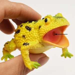 Croaking Frog Squeeze Toy | Cute & Funny Gift for Kids