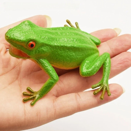 Croaking Frog Squeeze Toy | Cute & Funny Gift for Kids
