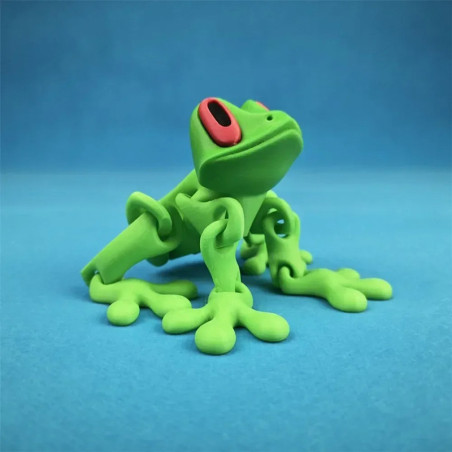 Cute 3D Printed Magnetic Frog - Articulated Fidget Figurine | 2 Unique Versions