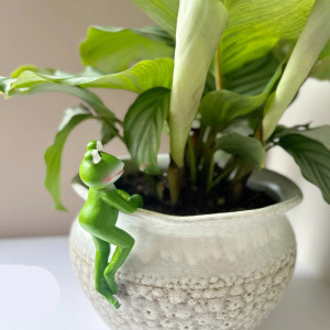 Cute Climbing Frog Pot Hanger | Resin Garden Ornament