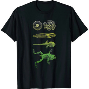 Frog Evolution T-Shirt – Unique Metamorphosis Graphic Tee