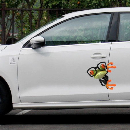 Mischievous Frog Sticker | Funny Car, Laptop & Moto Decal