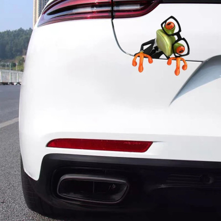 Mischievous Frog Sticker | Funny Car, Laptop & Moto Decal