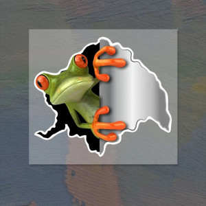 Funny 3D Frog Stickers | Set of 2 | Cute Car & Wall Decal