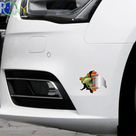 Funny 3D Frog Stickers | Set of 2 | Cute Car & Wall Decal