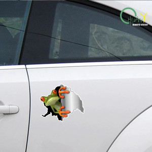 Funny 3D Frog Stickers | Set of 2 | Cute Car & Wall Decal
