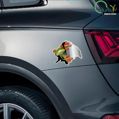 Funny 3D Frog Stickers | Set of 2 | Cute Car & Wall Decal