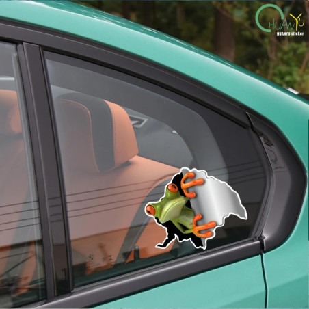 Funny 3D Frog Stickers | Set of 2 | Cute Car & Wall Decal