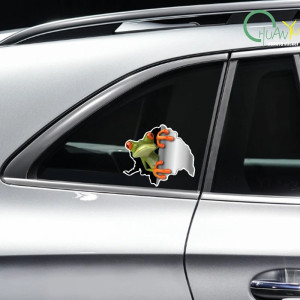 Funny 3D Frog Stickers | Set of 2 | Cute Car & Wall Decal