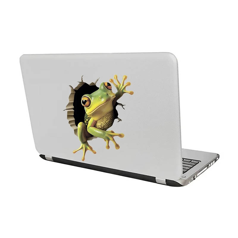 Cute 3D Frog Wall Decal | Funny Cracked Wall Sticker (4 Sizes)