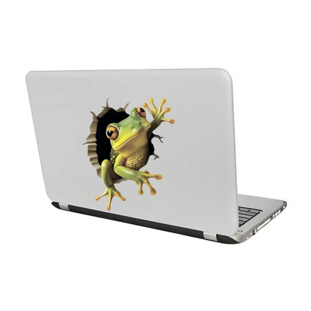 Cute 3D Frog Wall Decal | Funny Cracked Wall Sticker (4 Sizes)