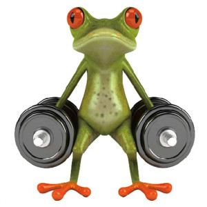 Funny Weightlifting Frog Sticker | Cute Gym Decal for Fitness