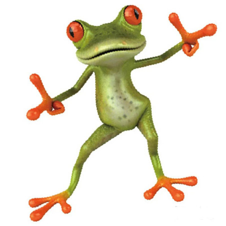 Funny Dancing Frog Sticker | Cute Vintage Groovy Vinyl Decal