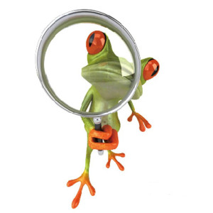 Funny Detective Frog Sticker | Cute Vinyl Decal for Laptops