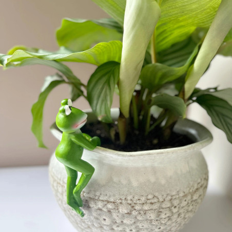 Cute Frog Pot Hanger | Funny Resin Plant Decor Gift Idea