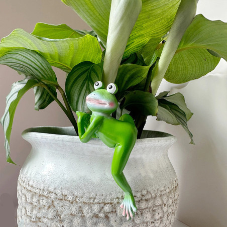Cute Frog Pot Hanger | Funny Resin Plant Decor Gift Idea