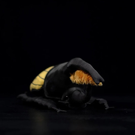 Golden Sun Beetle Plush | Cute Giant Black & Yellow Insect Toy