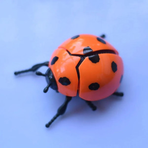Bouncing Ladybug Wind-Up Toy | Cute & Funny Desk Gift
