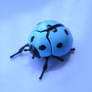 Bouncing Ladybug Wind-Up Toy | Cute & Funny Desk Gift