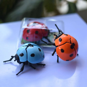 Bouncing Ladybug Wind-Up Toy | Cute & Funny Desk Gift