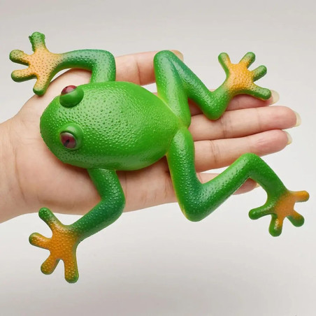 Stretchy Stress Frog - Cute Green Sensory & Fidget Toy!