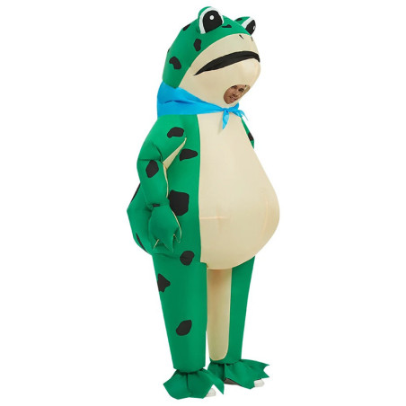 Cute Inflatable Frog Costume for Adults | Funny Mascot Gift