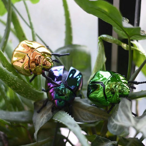 Chrome Wind-Up Beetle Toy | Unique Mechanical Gift | 3 Colors