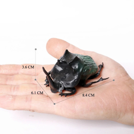 Horned Rhinoceros Beetle Figurine | Unique Educational Gift