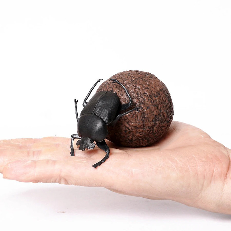Educational Dung Beetle Figurine | Realistic Insect Model Gift