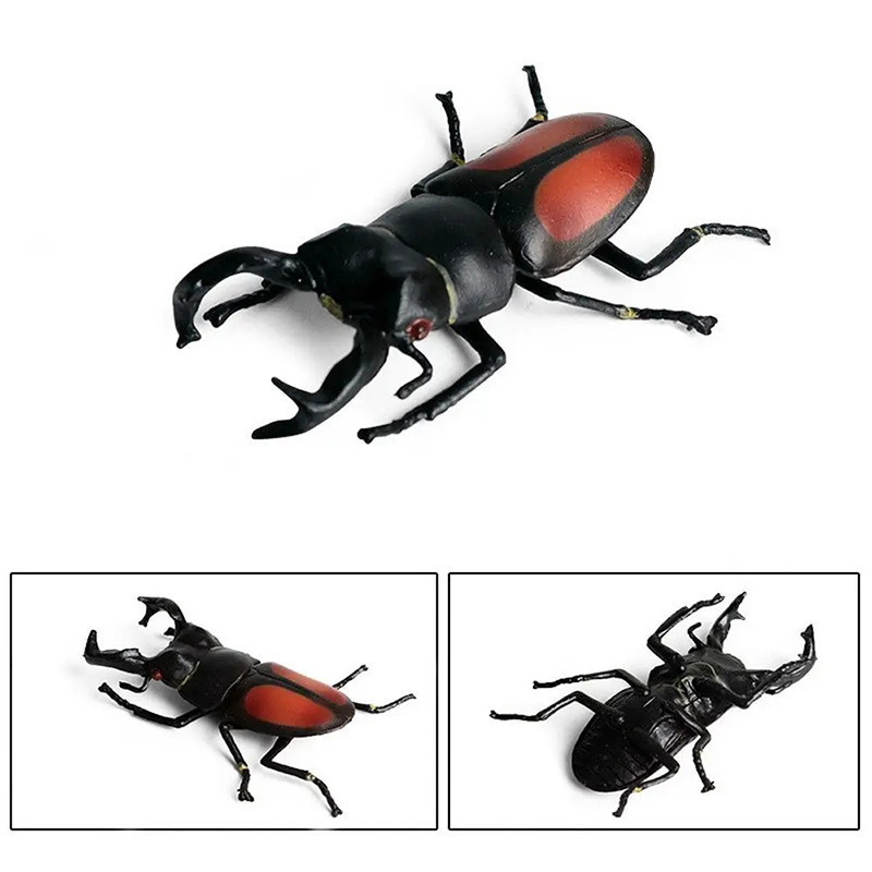 Realistic Red Stag Beetle Figurine | Educational Insect Toy