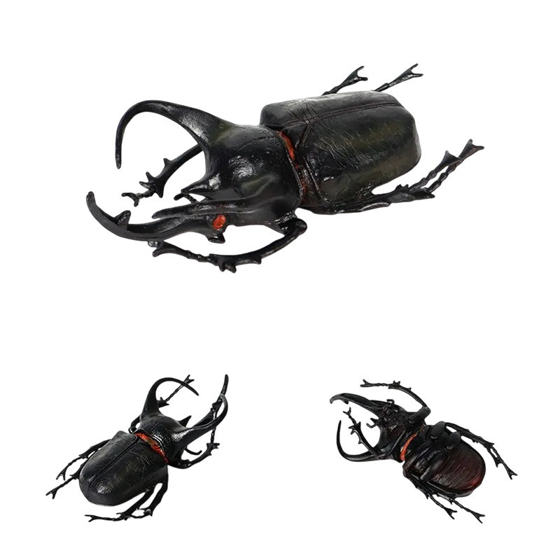 Educational Atlas Rhinoceros Beetle Figurine – Realistic Replica