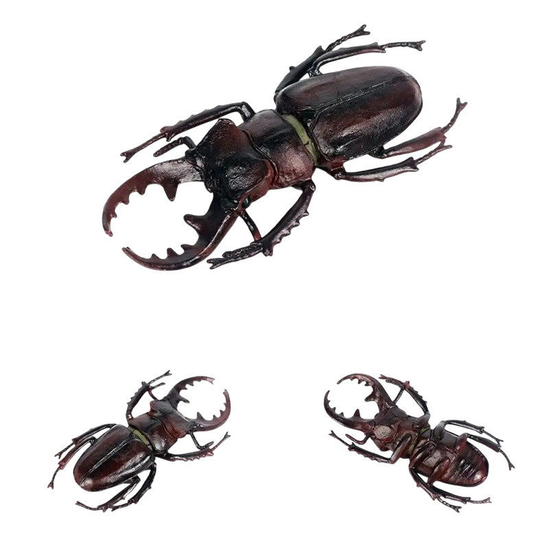 Giant Stag Beetle Toy | Realistic Insect Figure for Kids Gift
