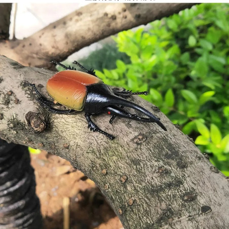 5 Pcs Horned Beetle Toy Set | Unique Educational Insect Gift