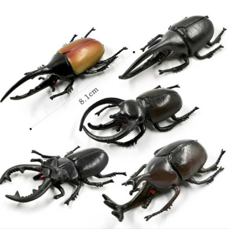 5 Pcs Horned Beetle Toy Set | Unique Educational Insect Gift
