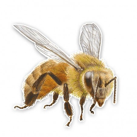 Realistic Bee Sticker for Car | Cute Waterproof Vinyl Decal