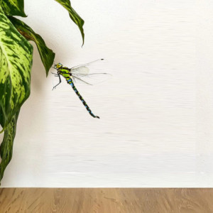 Vue générale Autocollant Mural Libellule Verte-Bleue Réaliste - 3 tailles disponibles