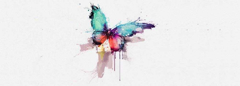 Butterfly t-shirt, nature clothing and original gift
