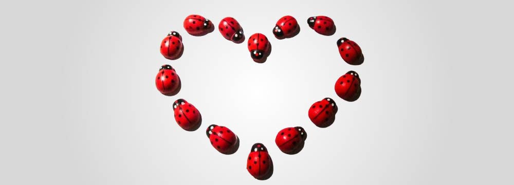 Ladybug necklace, lucky pendants and good-luck jewellery
