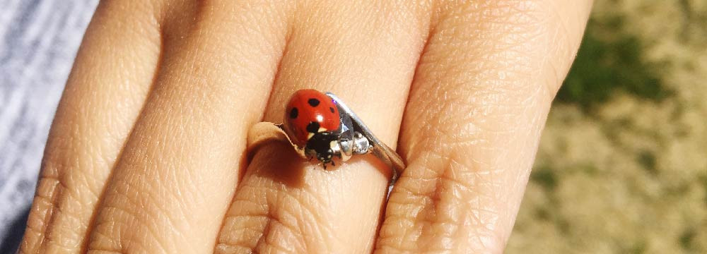 Ladybug ring, lucky band and good-luck gift idea