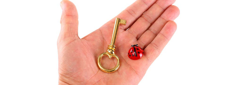 Ladybug keychain, lucky accessory and little gift