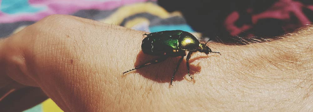 Scarab ring, Egyptian band and protection jewellery