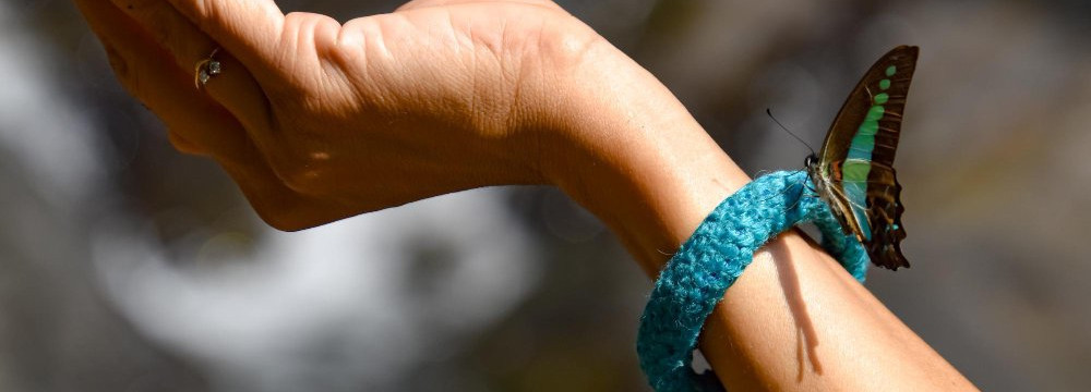 Butterfly bracelet, nature jewellery for the wrist and gift