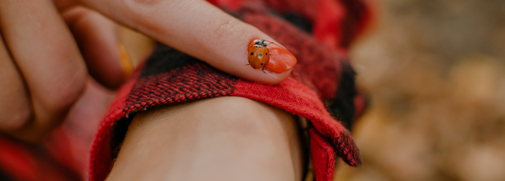 Ladybug bracelet, lucky jewellery for the wrist and gift