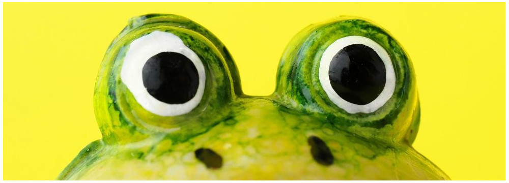 Frog mascot, nature plush toy and lucky-charm gift